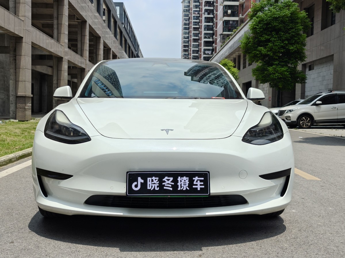 Tesla Model 3 2021 immagine di auto #2