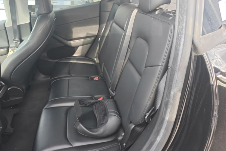 Tesla Model Y 2023 #17 Tesla Model Y 2023 car image #17