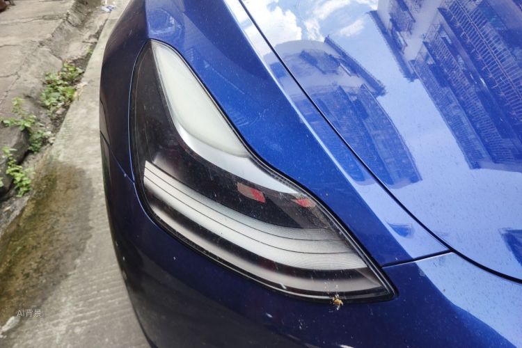 Tesla Model Y 2021 immagine di auto #8