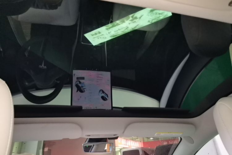Tesla Model 3 2021 car image #18