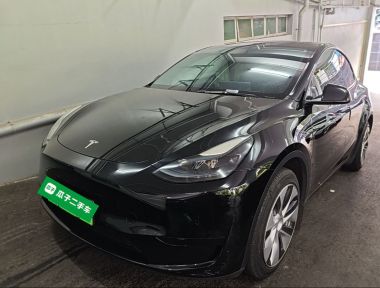 Tesla Model Y 2022 car image 
