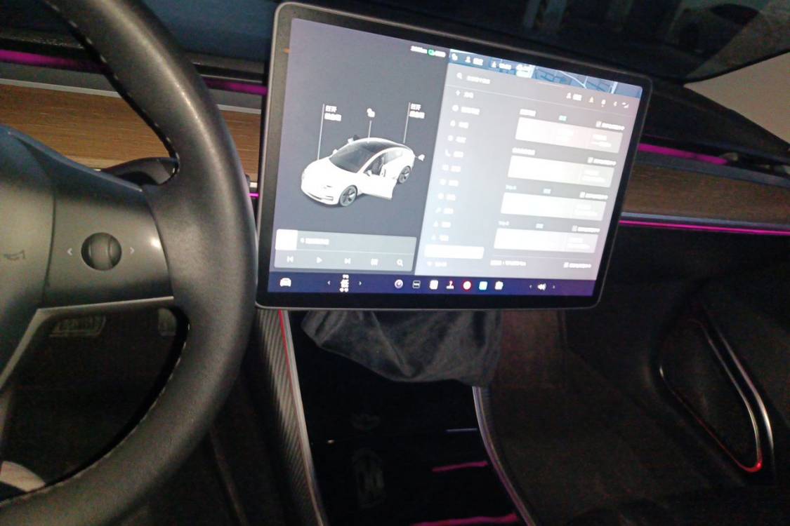 Tesla Model 3 2021 #28 Tesla Model 3 2021 car image #28