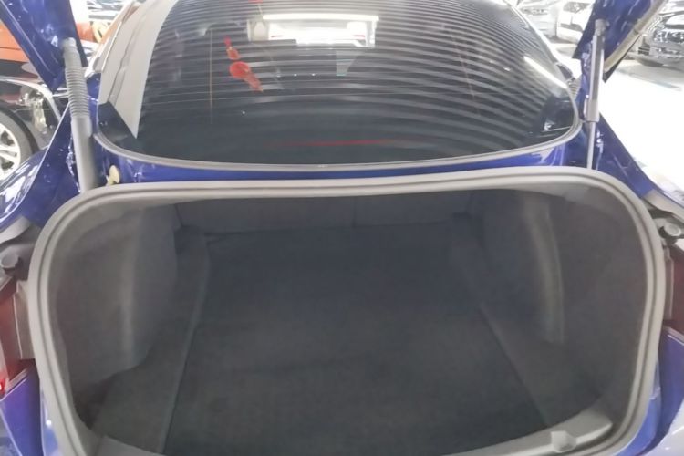 Tesla Model 3 2021 car image #19