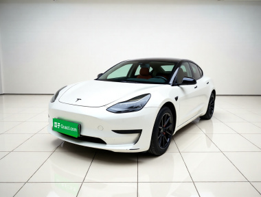 Tesla Model 3 2022 Tesla Model 3 2022 car image