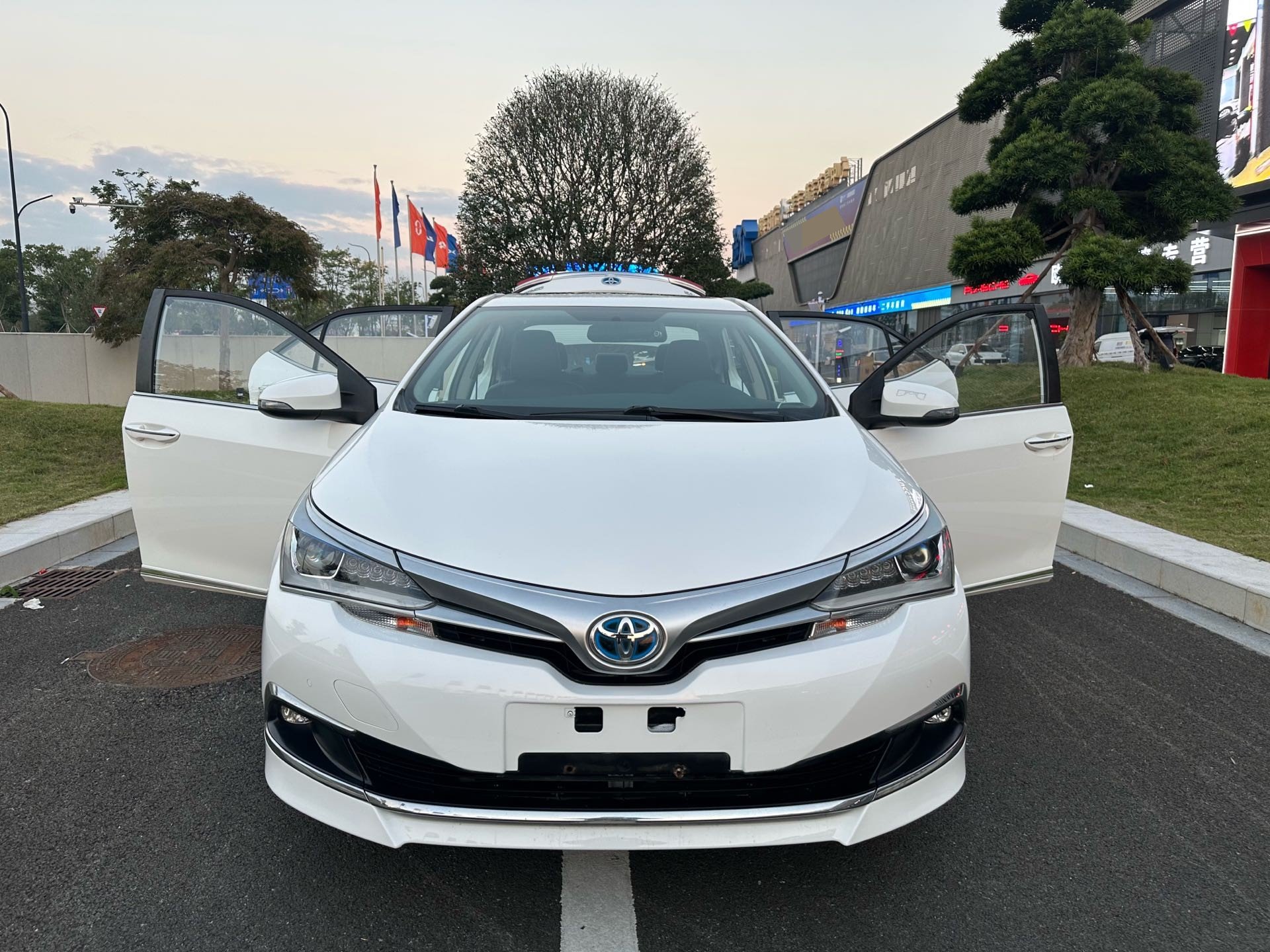 Toyota Corolla 2019 car image #11