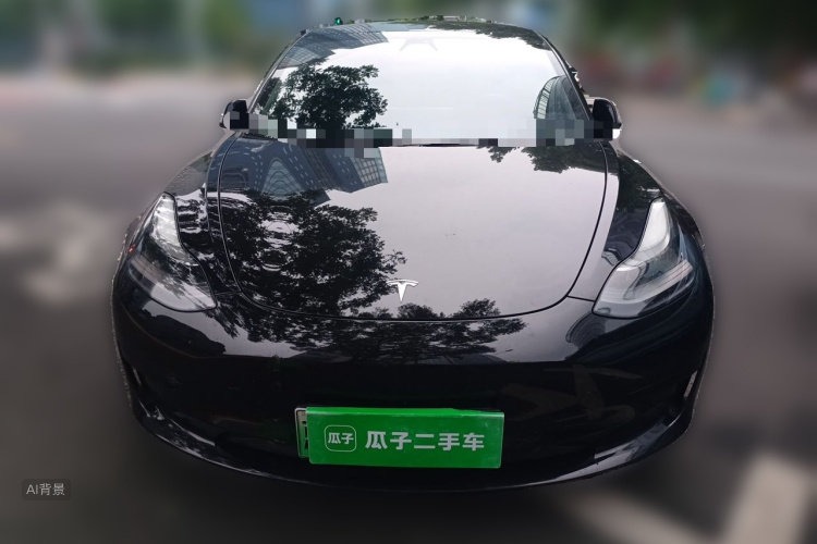 Tesla Model 3 2021 #3 Tesla Model 3 2021 car image #3