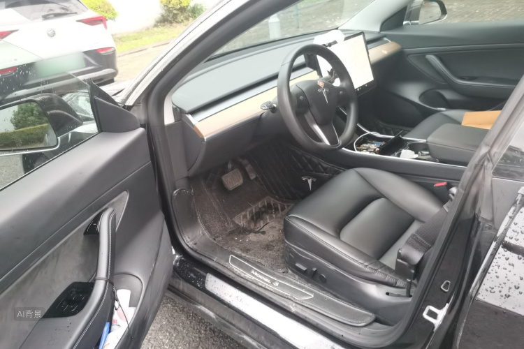 Tesla Model 3 2020 car image #18