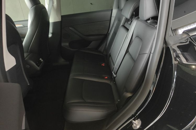 Tesla Model Y 2021 car image #17