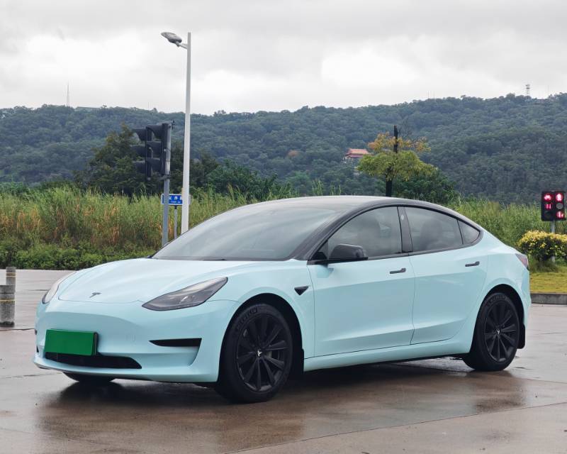Tesla Model 3 2021 Tesla Model 3 2021 car image