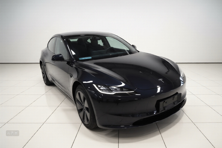 Tesla Model 3 2024 #4 Tesla Model 3 2024 car image #4