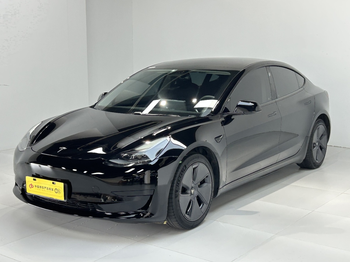 Tesla Model 3 2021 Tesla Model 3 2021 car image