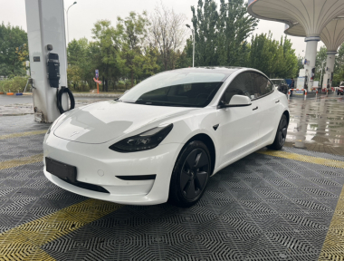 Tesla Model 3 2022 car image 
