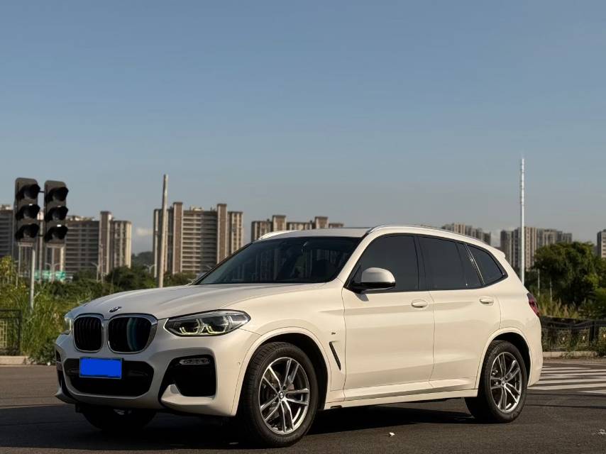 BMW X3 2019 car image 