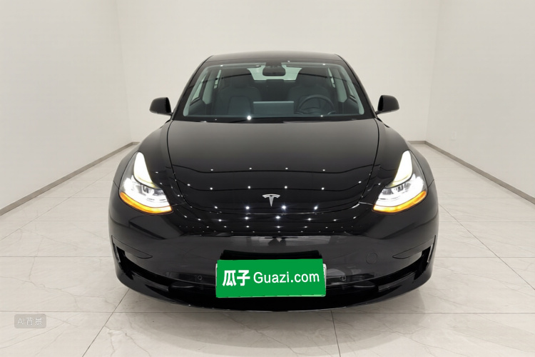 Tesla Model 3 2021 car image #3