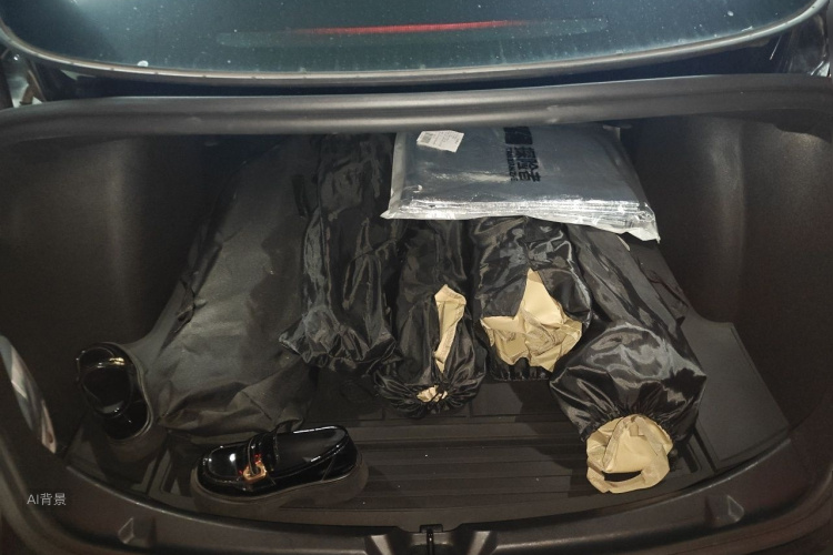 Tesla Model 3 2023 car image #21