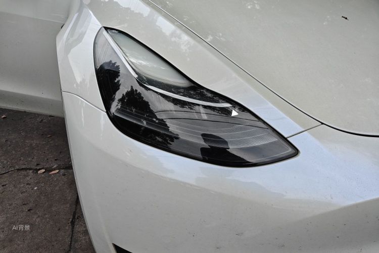 Tesla Model Y 2022 #8 Tesla Model Y 2022 car image #8