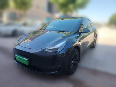 Tesla Model Y 2024 Tesla Model Y 2024 car image