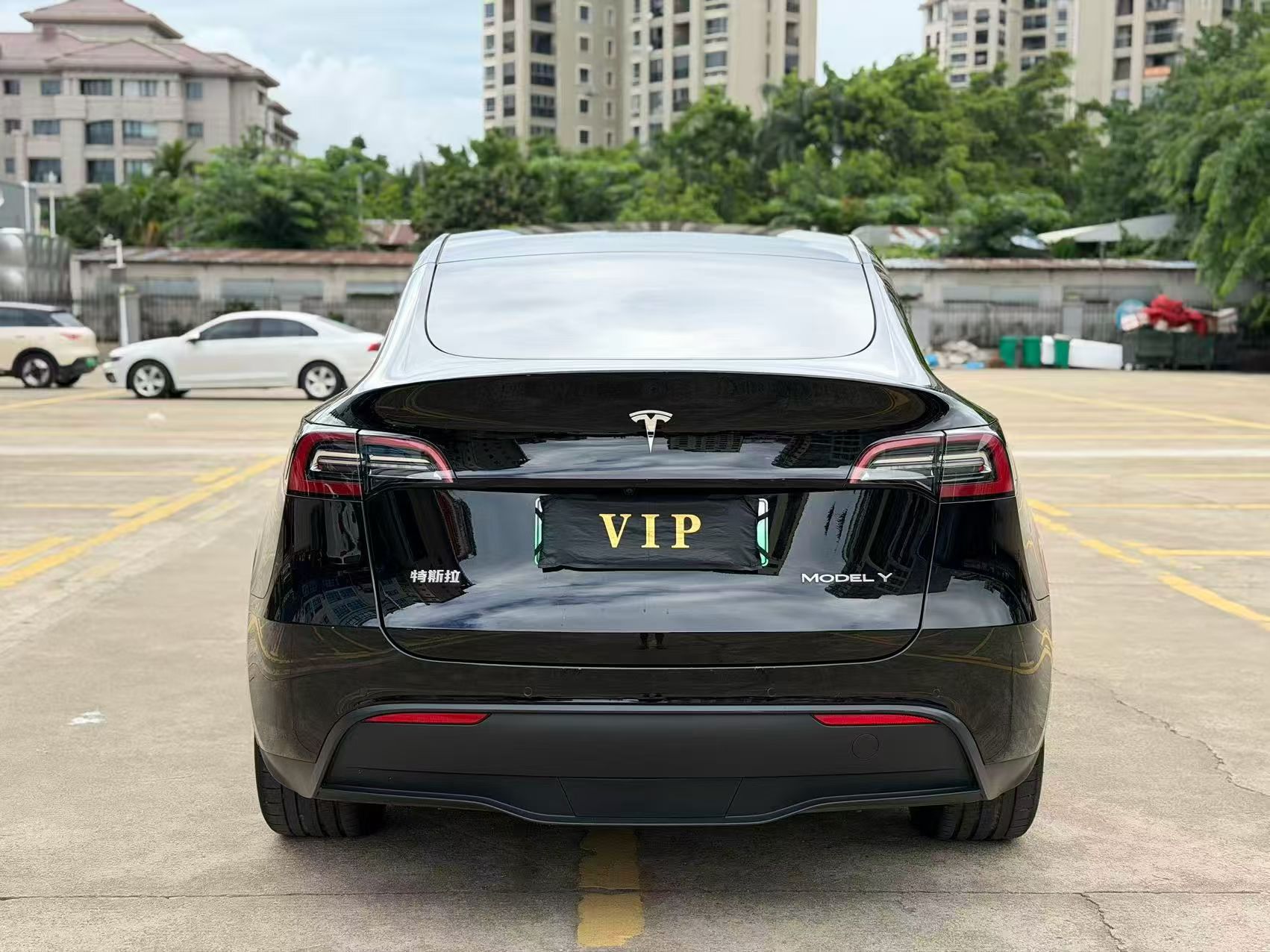 Tesla Model Y 2021 #5 Tesla Model Y 2021 car image #5