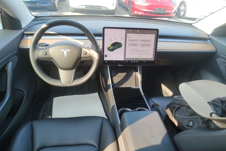 Tesla Model 3 2020 car image #10