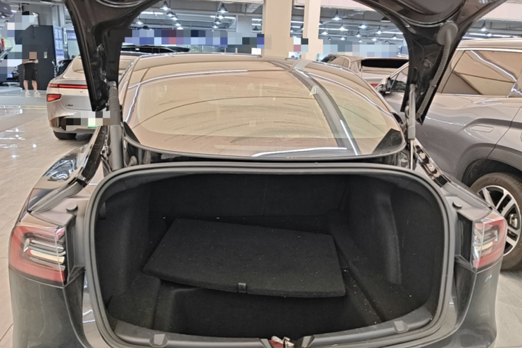 Tesla Model 3 2021 car image #19