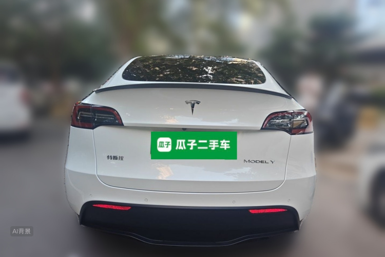 Tesla Model Y 2022 car image #6