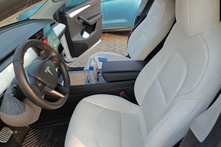 Tesla Model Y 2021 car image #17