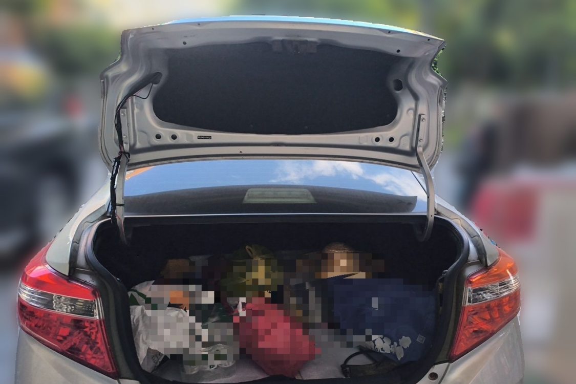 Toyota Vios 2015 immagine di auto #8