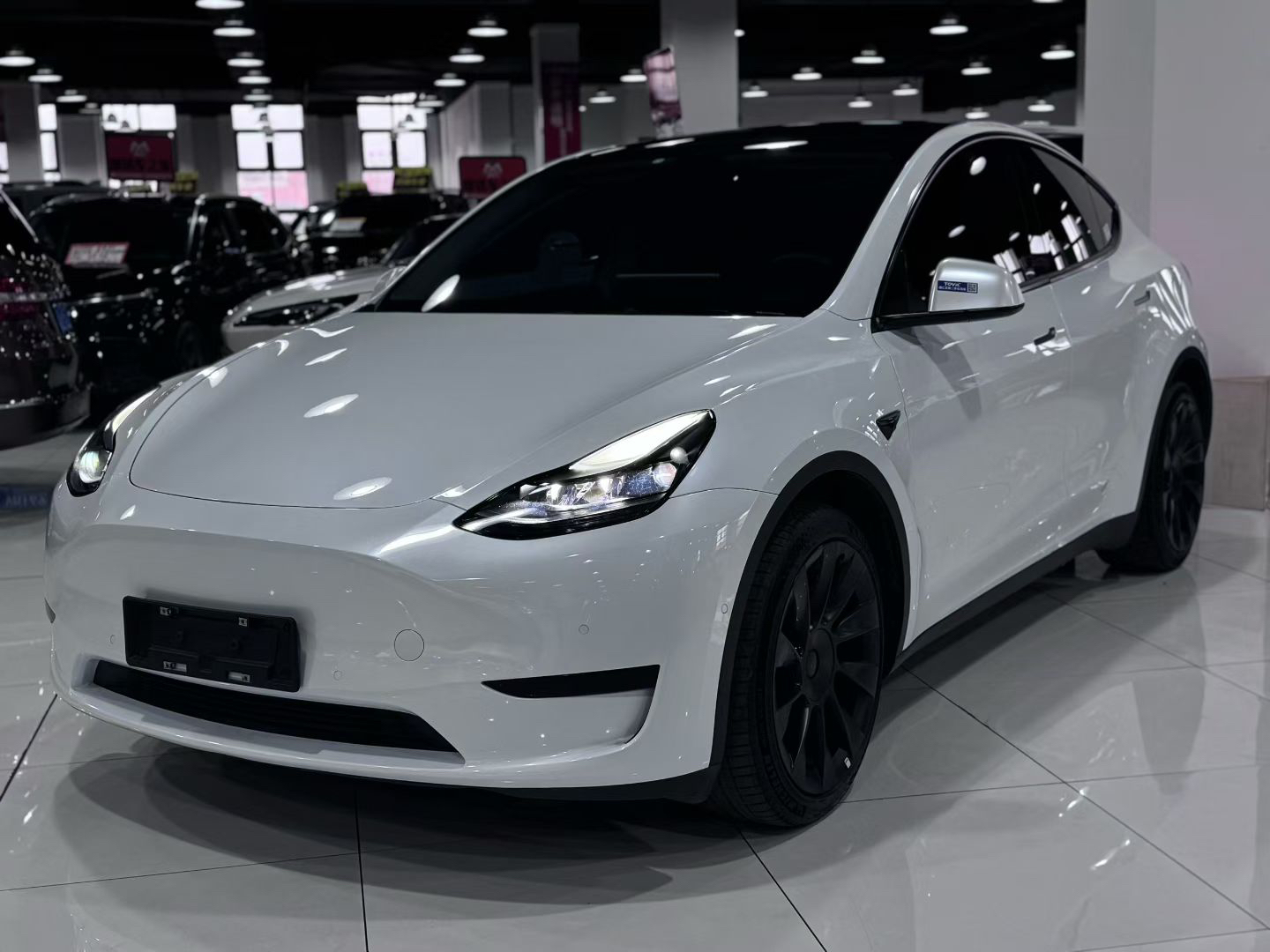Tesla Model Y 2022 Tesla Model Y 2022 car image