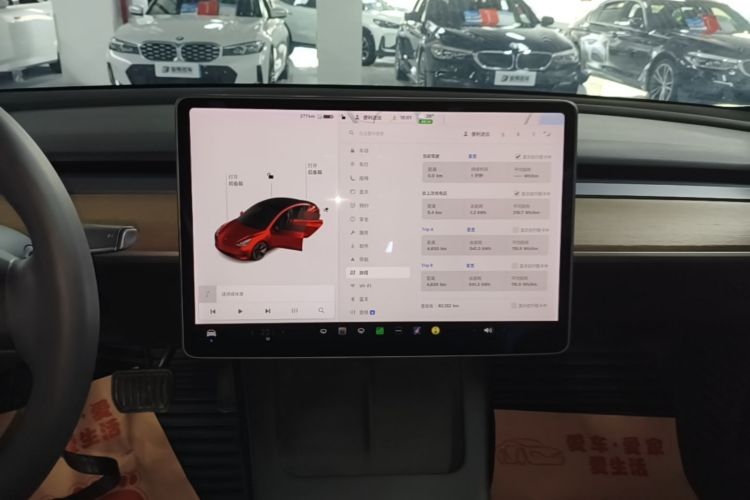 Tesla Model 3 2021 immagine di auto #13