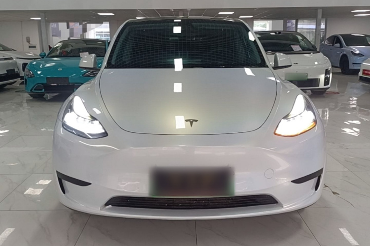 Tesla Model Y 2023 immagine di auto #3