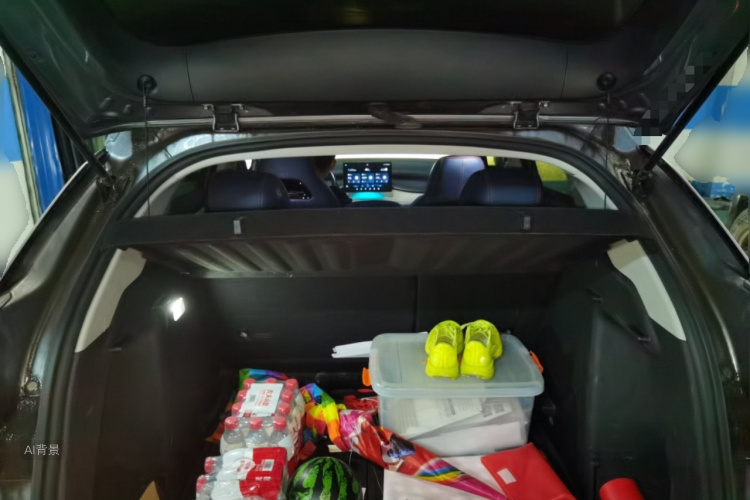 BYD Yuan Plus 2022 car image #21