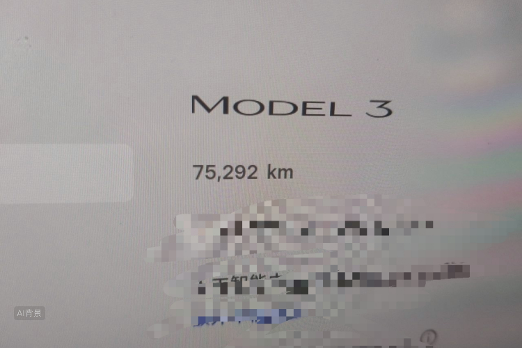 Tesla Model 3 2022 immagine di auto #14