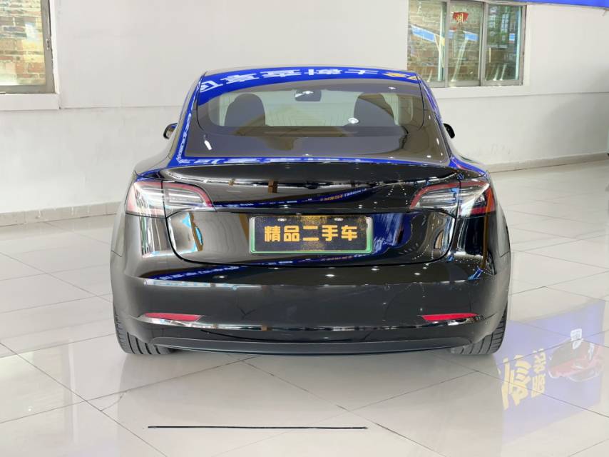 Tesla Model 3 2020 car image #5