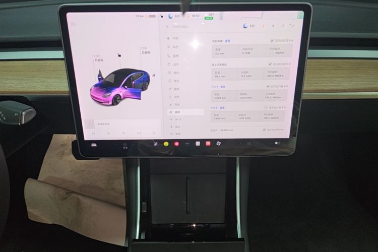 Tesla Model 3 2020 car image #13