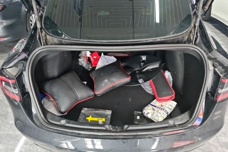 Tesla Model 3 2020 car image #19