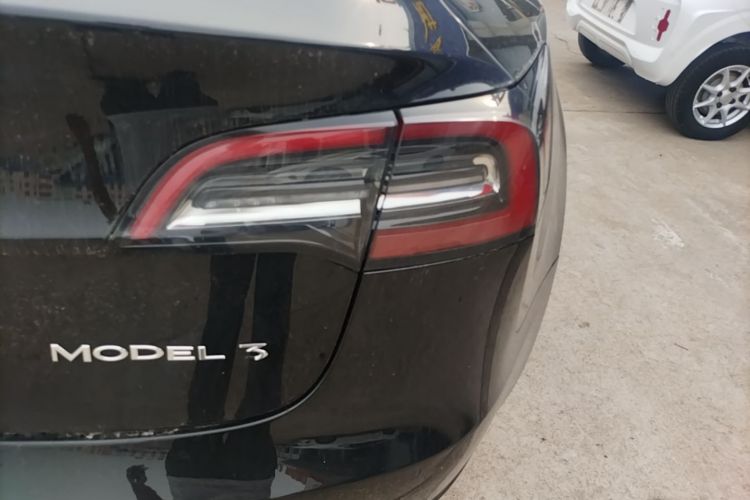 Tesla Model 3 2021 #8 Tesla Model 3 2021 car image #8