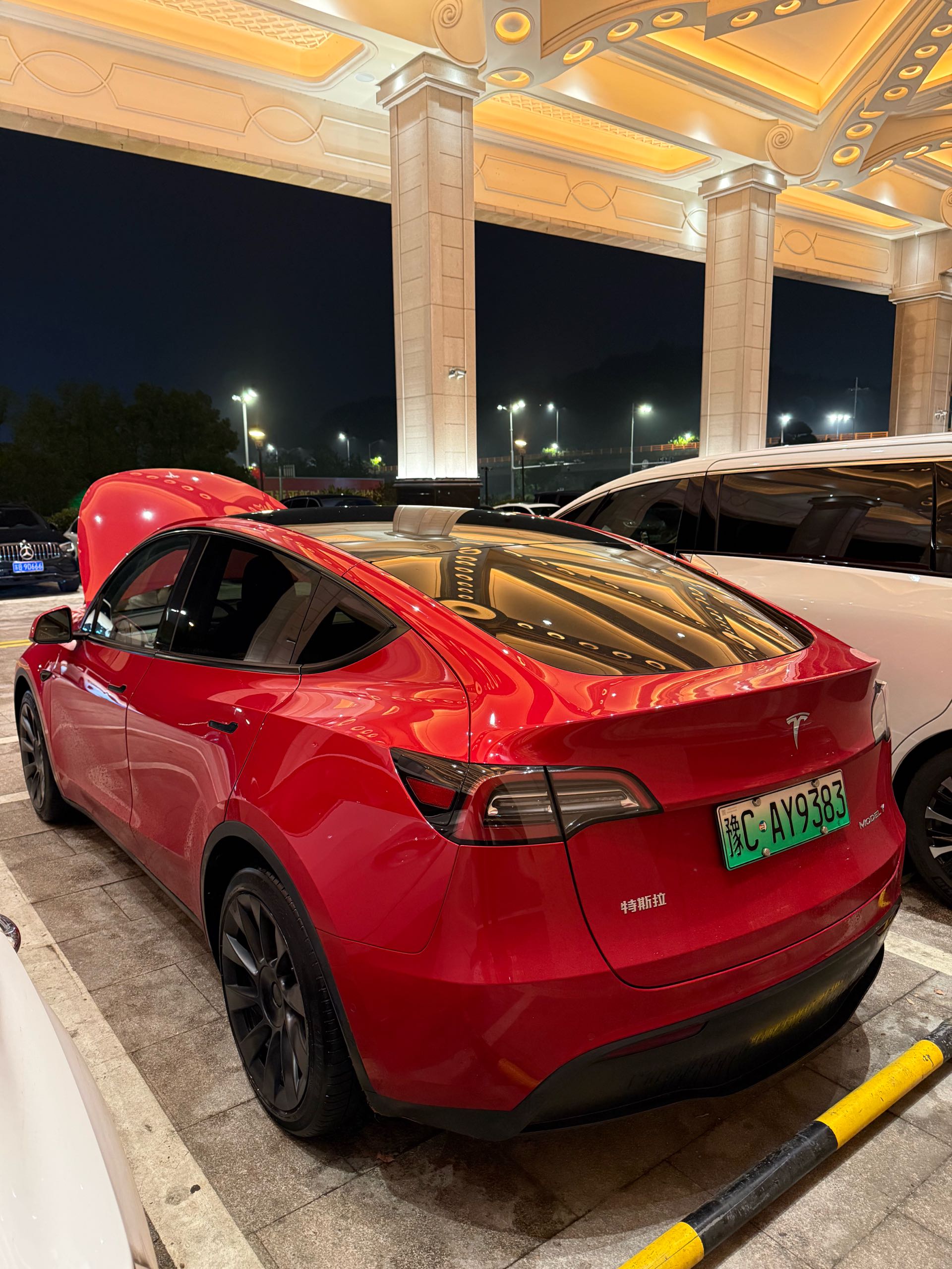 Tesla Model Y 2021 صورة سيارة #8