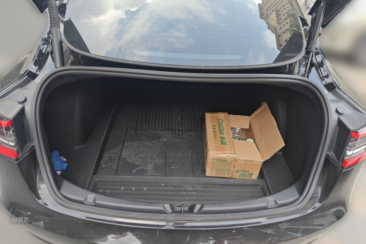 Tesla Model 3 2021 immagine di auto #21