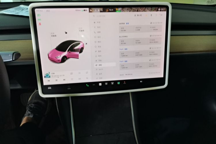 Tesla Model 3 2020 car image #13