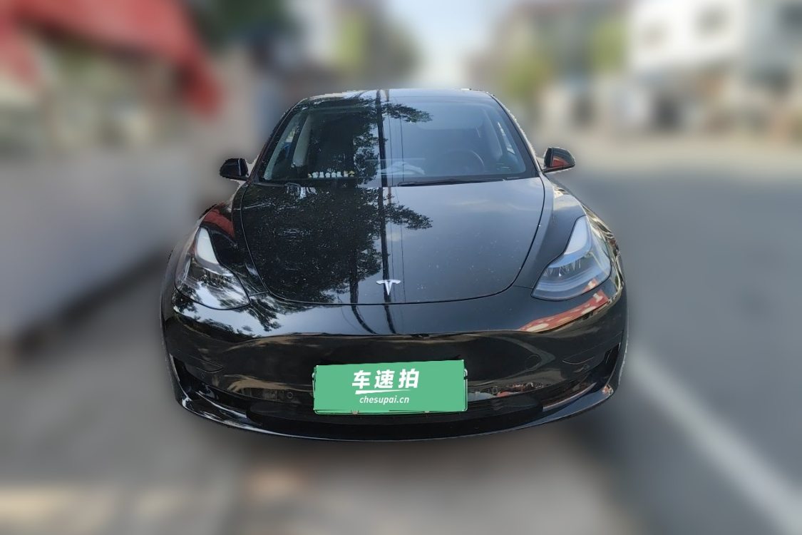 Tesla Model 3 2021 #5 Tesla Model 3 2021 car image #5