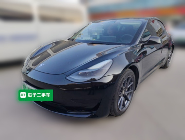 Tesla Model 3 2021 Tesla Model 3 2021 car image