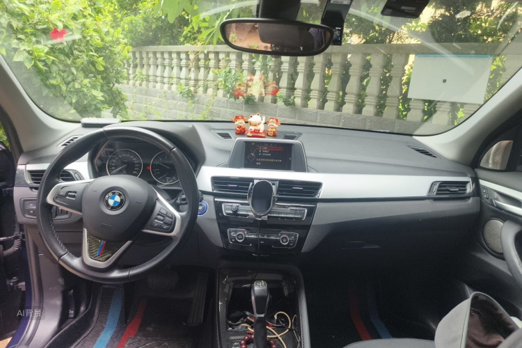 BMW X1 2017 car image #11
