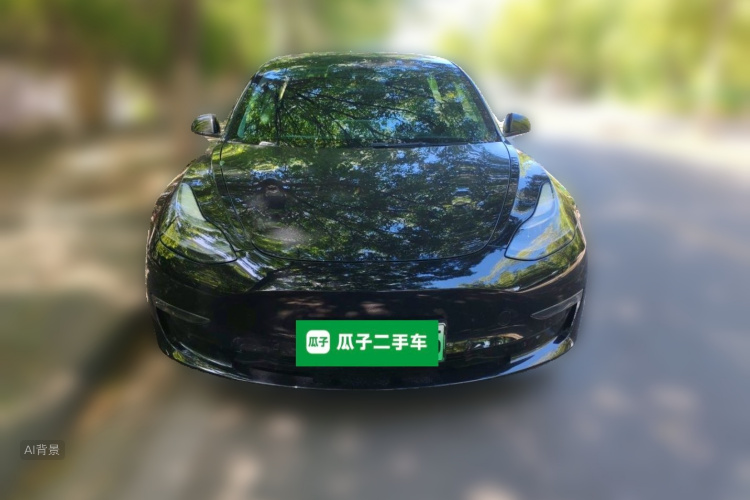 Tesla Model 3 2022 #3 Tesla Model 3 2022 car image #3