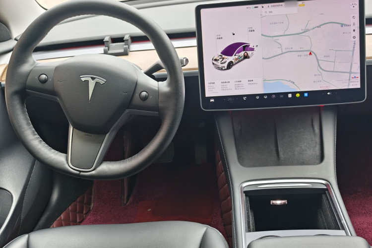 Tesla Model 3 2021 imagem de carro #19