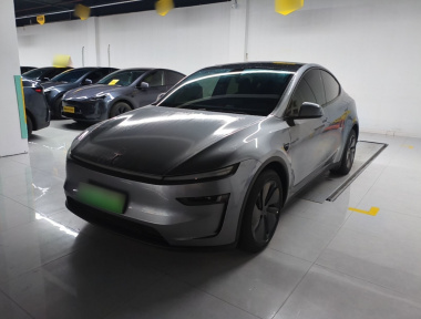 Tesla Model Y 2025 Tesla Model Y 2025 car image