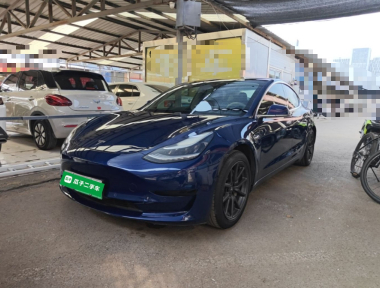 Tesla Model 3 2020 Tesla Model 3 2020 car image