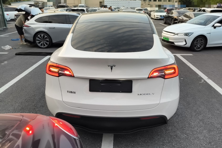 Tesla Model Y 2024 #6 Tesla Model Y 2024 car image #6