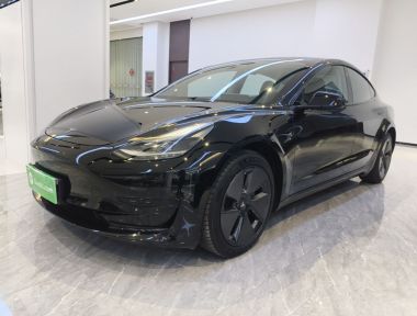 Tesla Model 3 2023 car image 