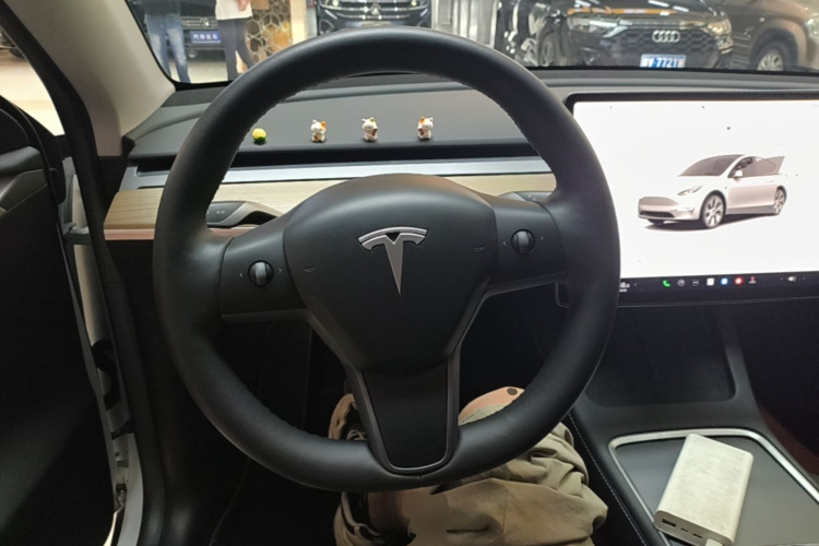Tesla Model Y 2023 car image #11