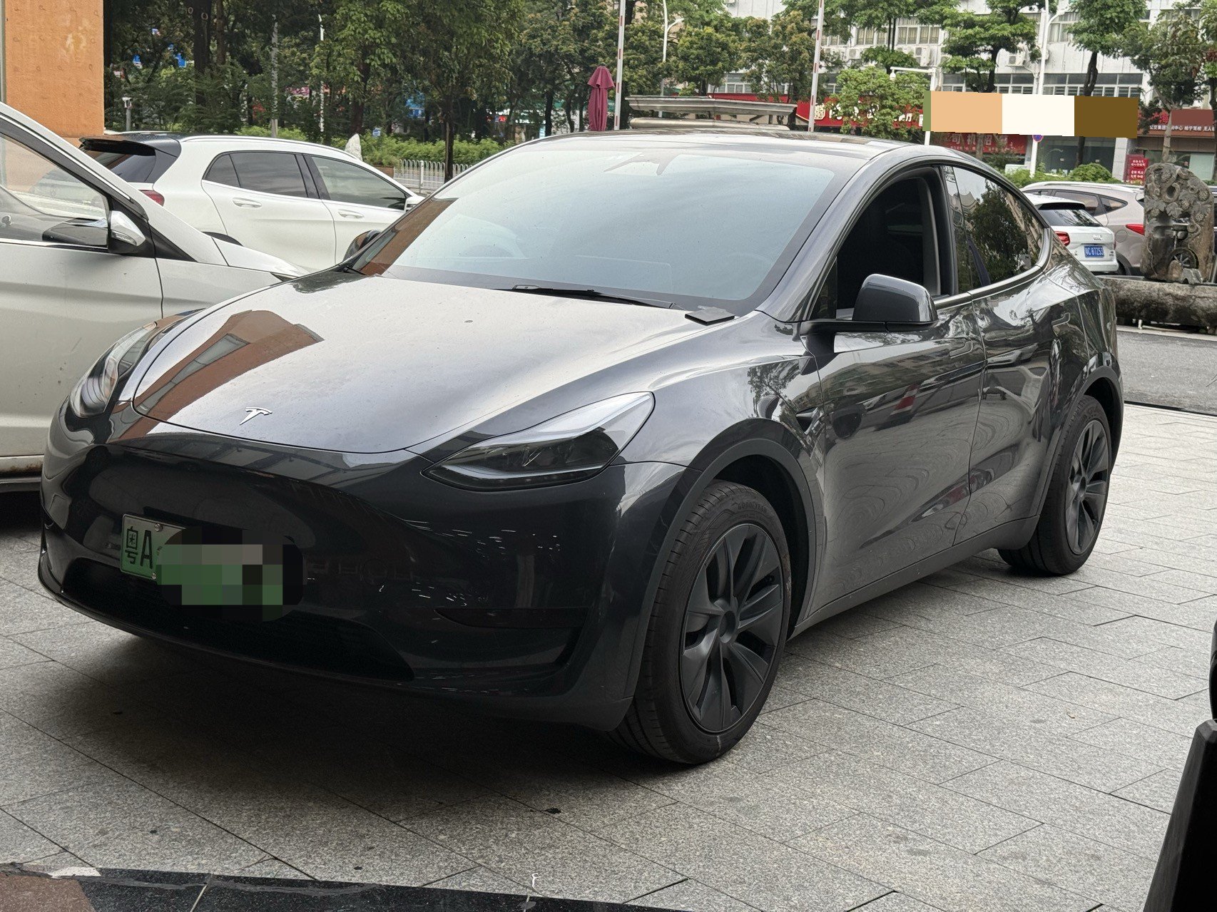 Tesla Model Y 2024 car image 